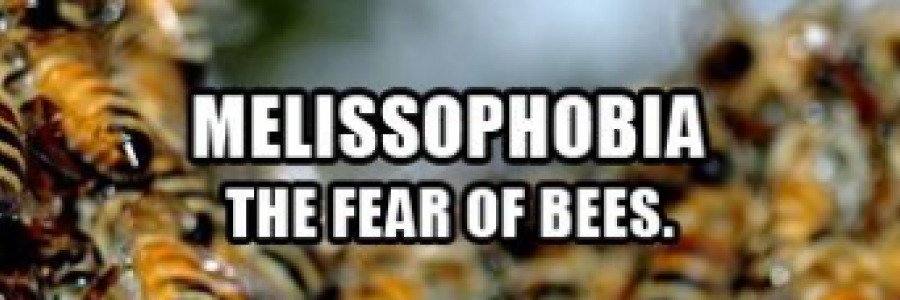 Cover image for post Buzzz, by Mnezz