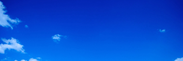 Cover image for post Sky, by Socks