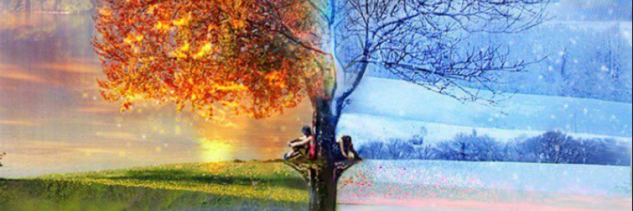 Cover image for post The Biggest Problem Ever!, by Clarity