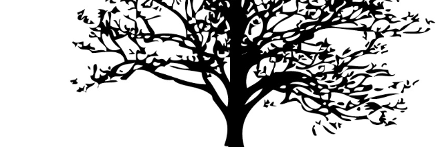 Cover image for post traverse, by seventeen