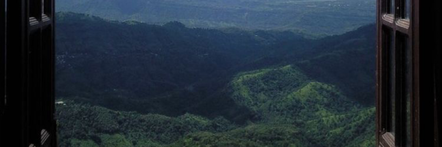 Cover image for post Words about me, by Marriam