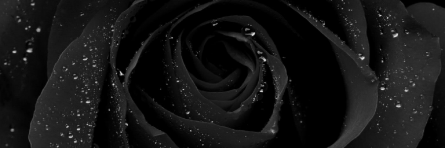 Cover image for post GoodBye, by JRose