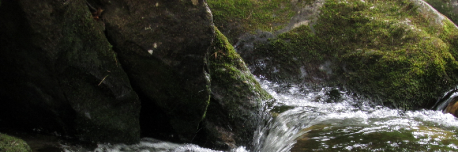 Cover image for post What Breathing Means To Me, by InvisibleWish