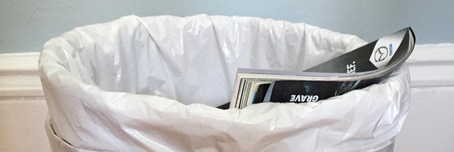 Cover image for post Not Afraid To Say It, by Anitarosner