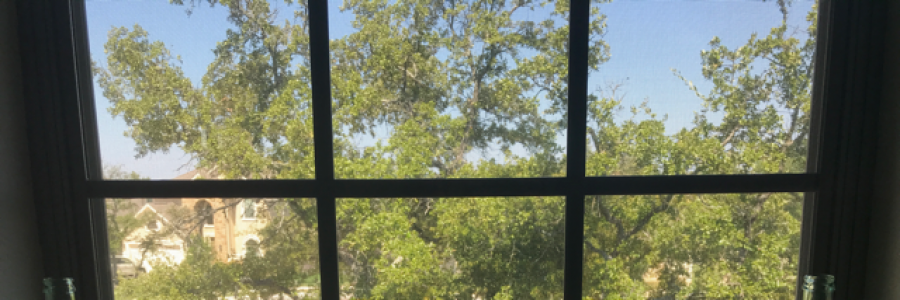 Cover image for post Numb, by Kailatba