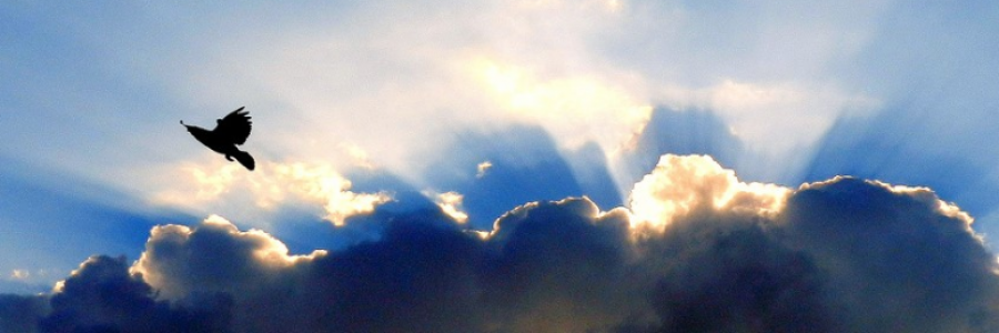 Cover image for post You Promised, by Kittysailor