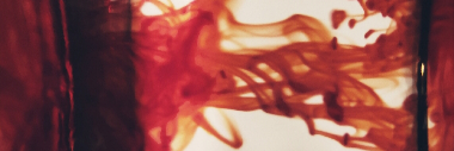 Cover image for post Teeth, by SE