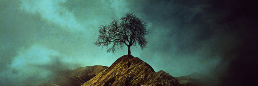 Cover image for post I Don't Know, by Kittysailor