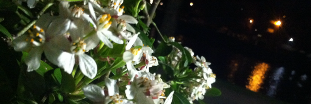 Cover image for post X., by monkeemoves