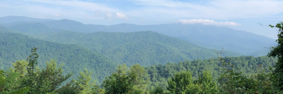 Cover image for post Grace, by Elkroadartist