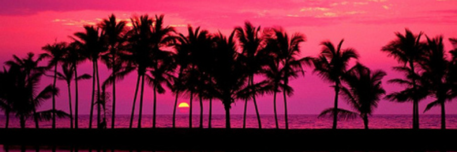 Cover image for post Sunkist, by lostAlice