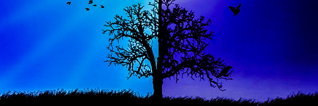 Cover image for post Black and White, by Yowwa