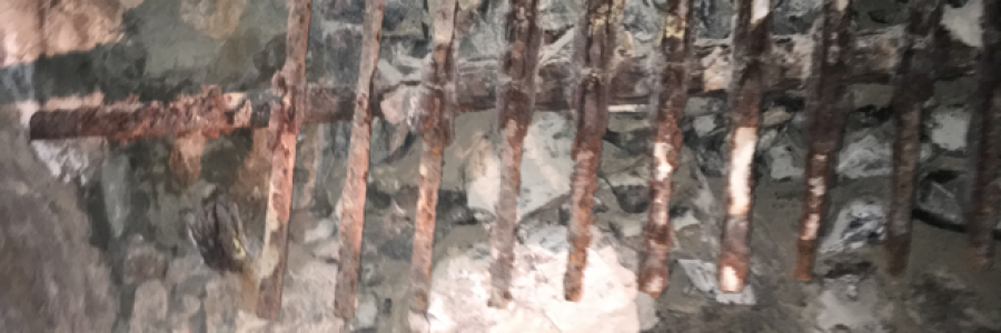 Cover image for post Anxiety, by seashelldreamer