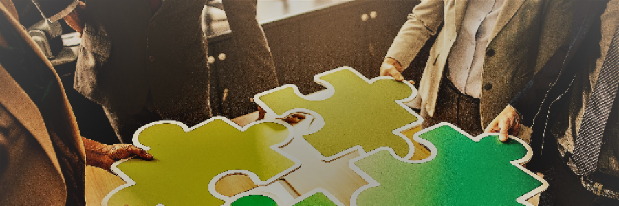 Cover image for post Puzzled, by steffthecat