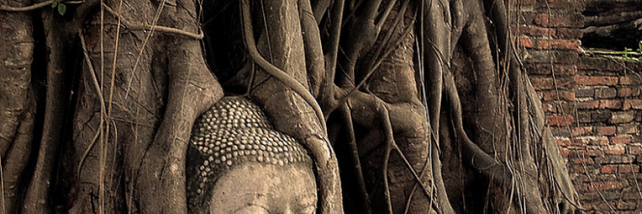 Cover image for post Sorrow at the Alter Tree, by dadikus