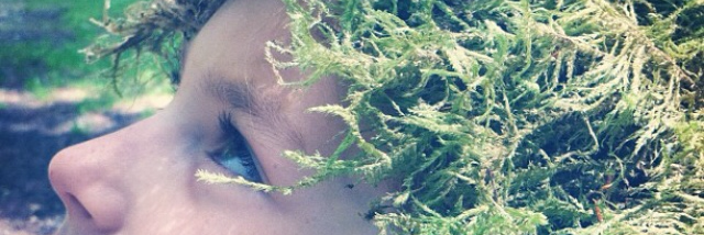 Cover image for post The Trees, by StellarBee