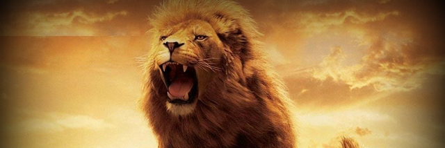 Cover image for post Your great adventure, by Ericjay