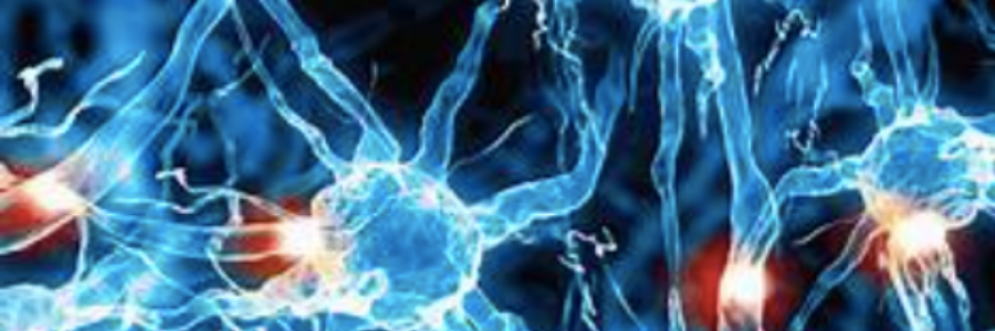 Cover image for post Thoughts of Note, by MaidenVoyage