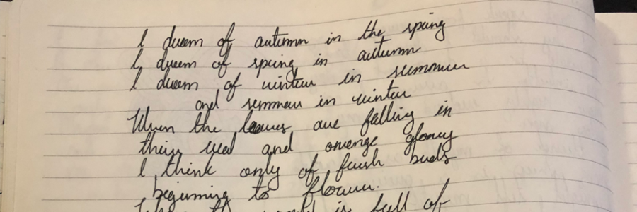 Cover image for post wishes and dreams, by MADDIBLUHME