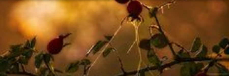 Cover image for post To Grope for Hope (Part 1), by Monaaa