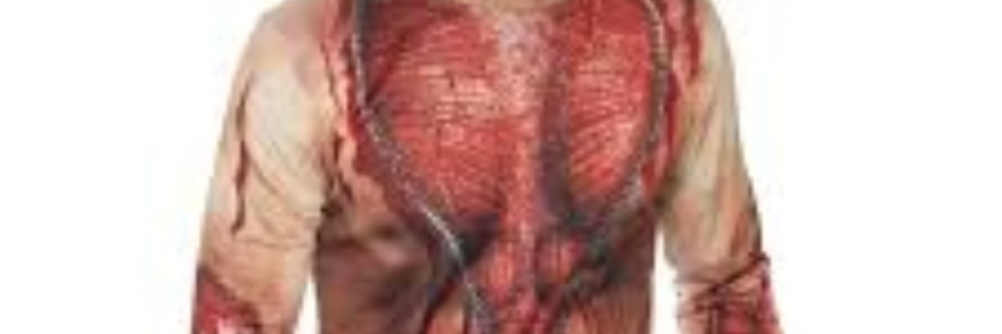 Cover image for post Sartorial Splendor, by sandflea68