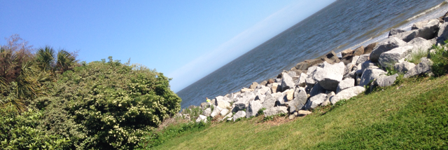 Cover image for post Untitled, by Lexipaige