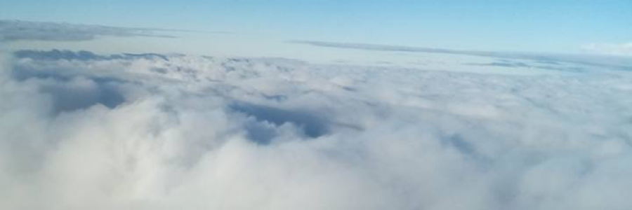 Cover image for post PROSPEROUSLY, by UncutDiamond