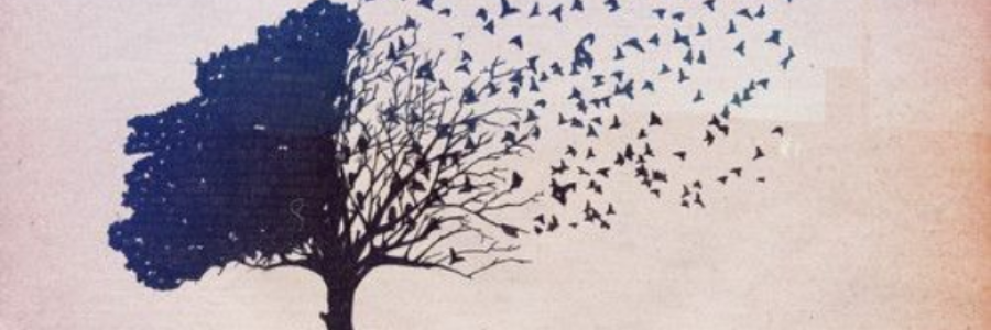 Cover image for post Untitled, by snowf_lake