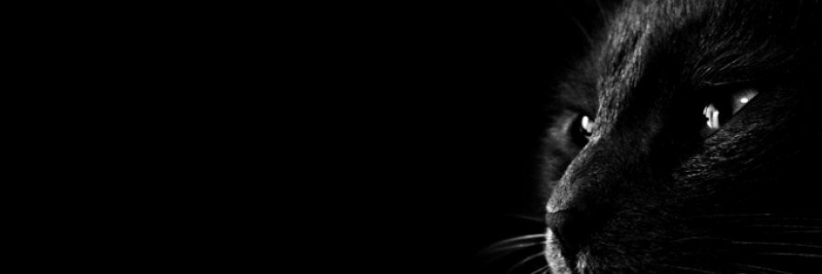 Cover image for post El amor de papá, by Bryant