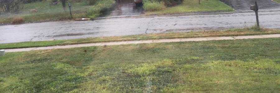 Cover image for post Rain, by GraceOfPoetry