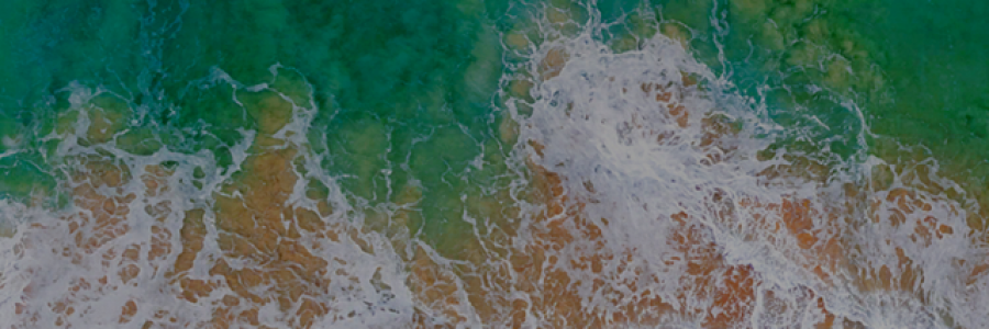 Cover image for post Can You Hear Me Crying?, by UncutDiamond