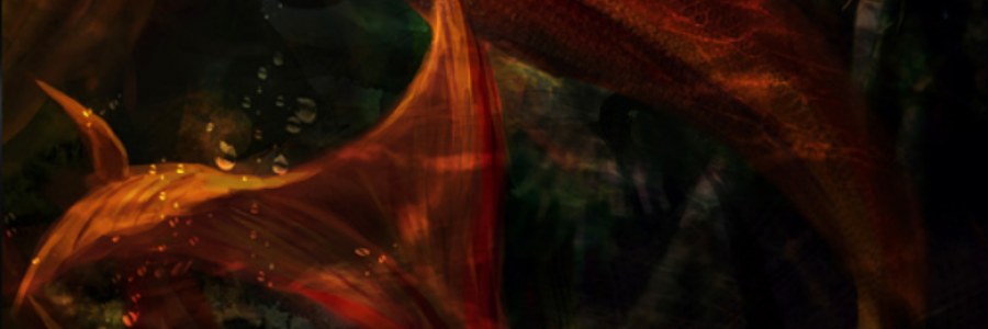 Cover image for post Doth the Sun Envy Thee, by Taki