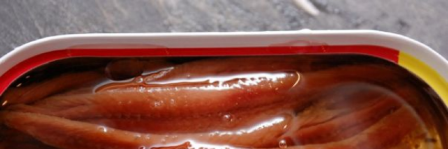 Cover image for post If you've ever had a good anchovy(or friend), you'll want more., by BonnieBoo