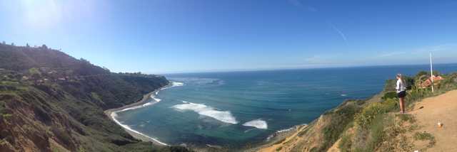 Cover image for post scattered., by braydenbosch