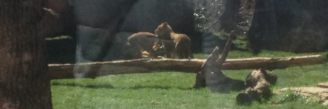 Cover image for post Untitled, by Lanie