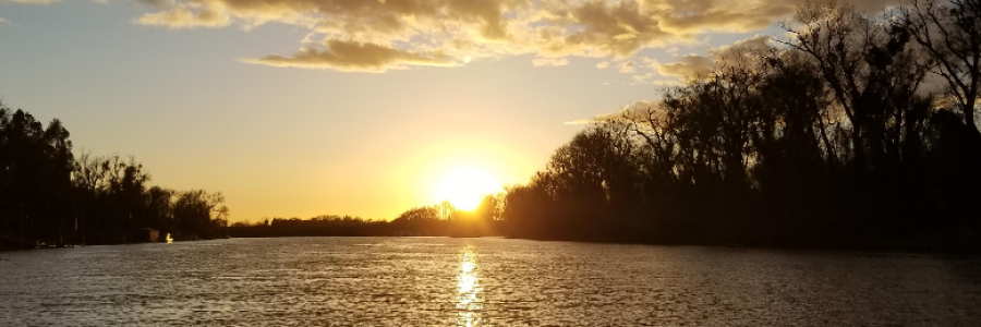 Cover image for post The Best of Us, by Ferryman