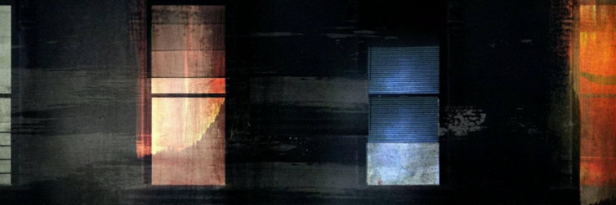 Cover image for post house call, by anarosewood