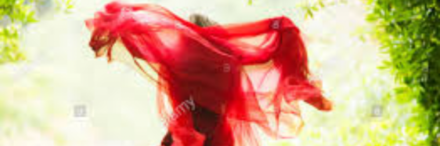 Cover image for post Squish Squash Up To My Knees, by sandflea68