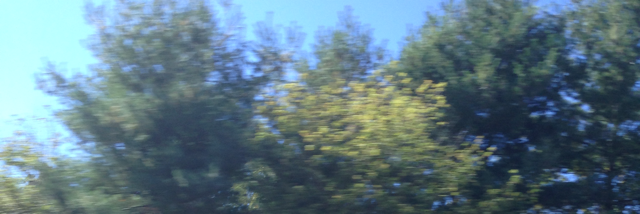 Cover image for post Smells I Love, by StellarBee