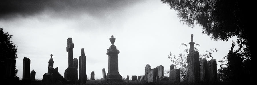 Cover image for post Family Reunion, by jaymeh_moon