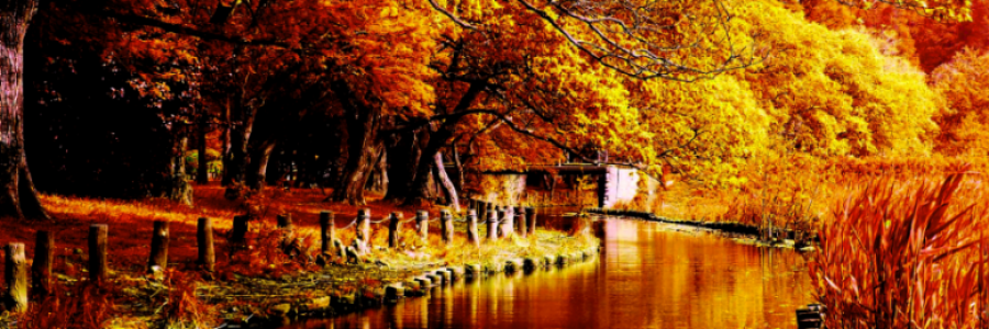 Cover image for post Autumn, by Luna_Pyron