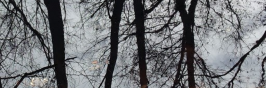 Cover image for post The Mire, by ksizemore