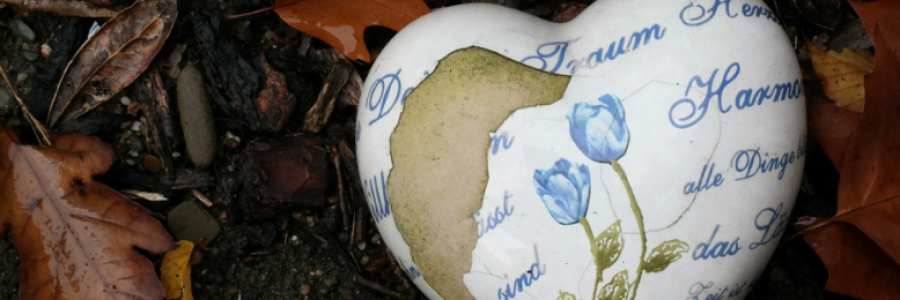 Cover image for post Recant, by nfaulk6