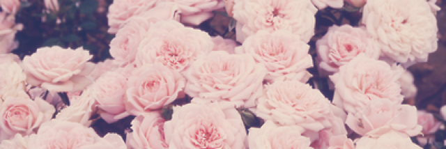 Cover image for post Untitled, by TahlieMae