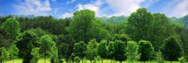 Cover image for post Isn't it obvious, by Gymnastics