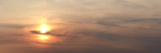 Cover image for post don't ask me why, by paintingflowers