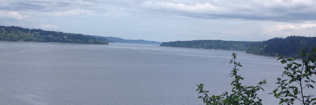 Cover image for post Outside, by Melissa