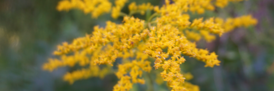 Cover image for post Now and Forever, by Ken_W_Writer