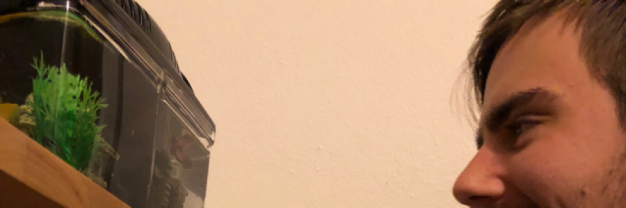 Cover image for post Lay in bed, by Imnotawriter16