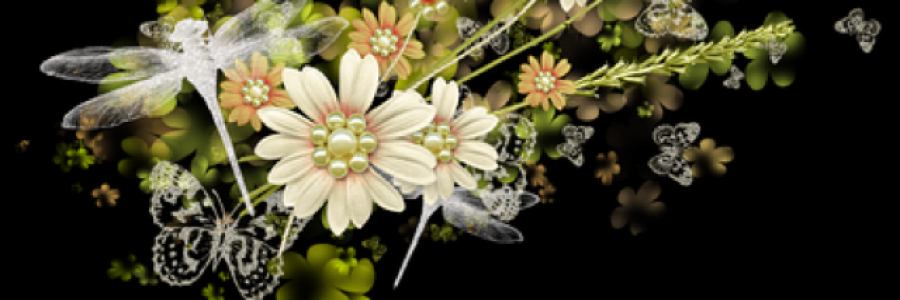 Cover image for post Vision, by heather_woods